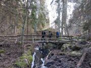 Nordic Resistance Movement members on a walking tour in Swedish woodland