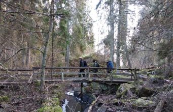 Nordic Resistance Movement members on a walking tour in Swedish woodland