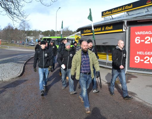 Nest 8 Nordic Resistance Movement activists visit Nyköping