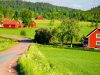 Red houses in idyllic Swedish countryside