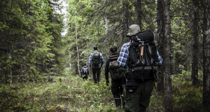Nest 6 activists hiking in the forests of Boden