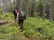 Nordic Resistance Movement Nest 2 hiking in Värmland
