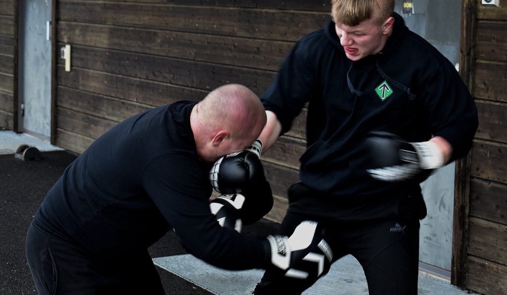 Nordic Resistance Movement martial arts training in Sweden's Nest 2