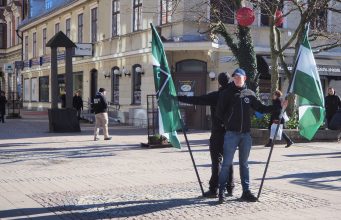 Nordic Resistance Movement public activity in Karlskrona, Sweden