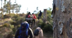 NRM hike in Sweden's Nest 2