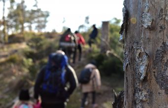 NRM hike in Sweden's Nest 2