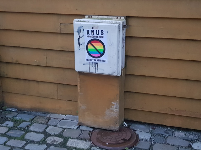 NRM poster against the homo lobby in Bergen, Norway