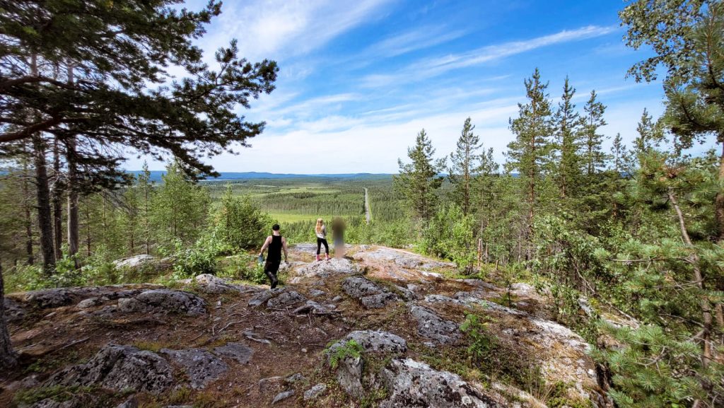 Wilderness hike in northern Swedish forest