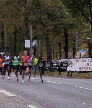 Nordic Resistance Movement at Stockholm Marathon