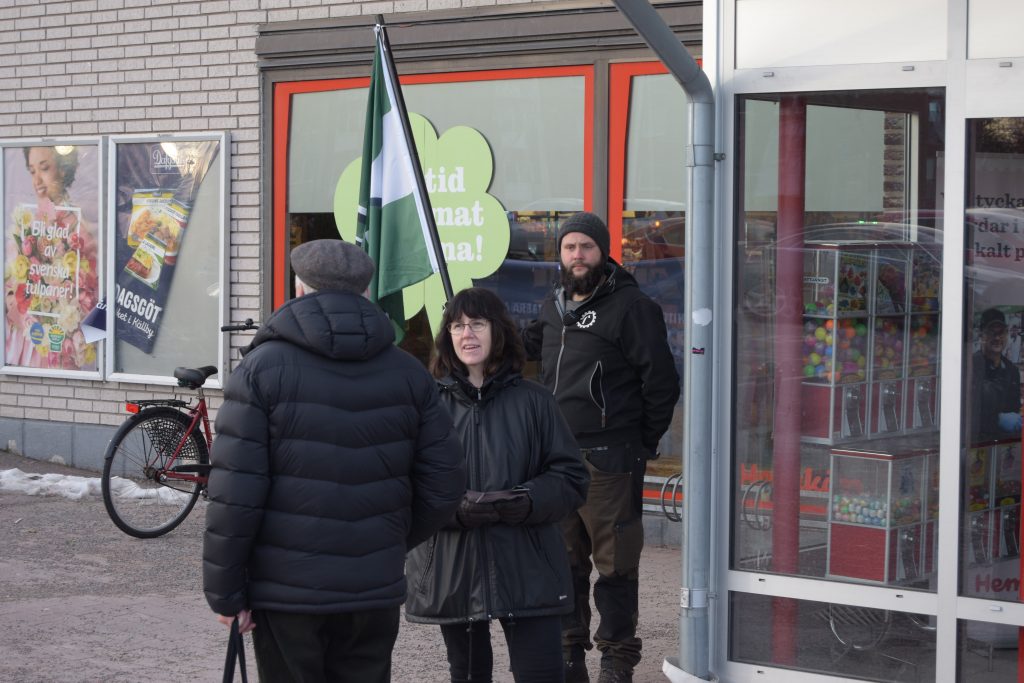 Nordic Resistance Movement activity, Hedemora, Sweden