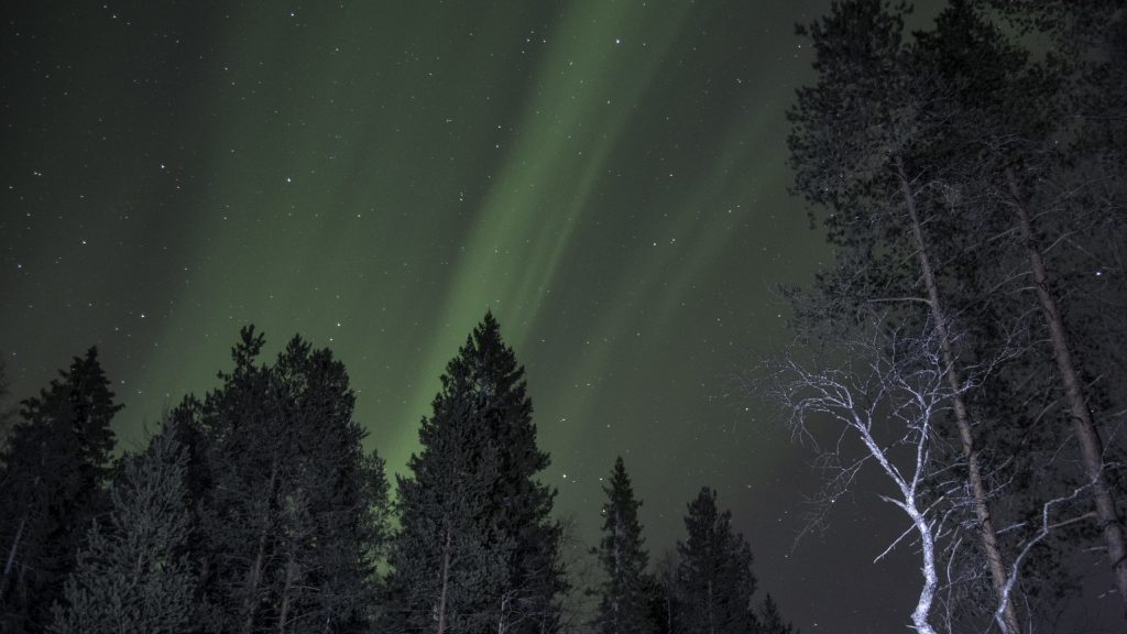 Northern lights at Snöberget Nature Reserve, northern Sweden
