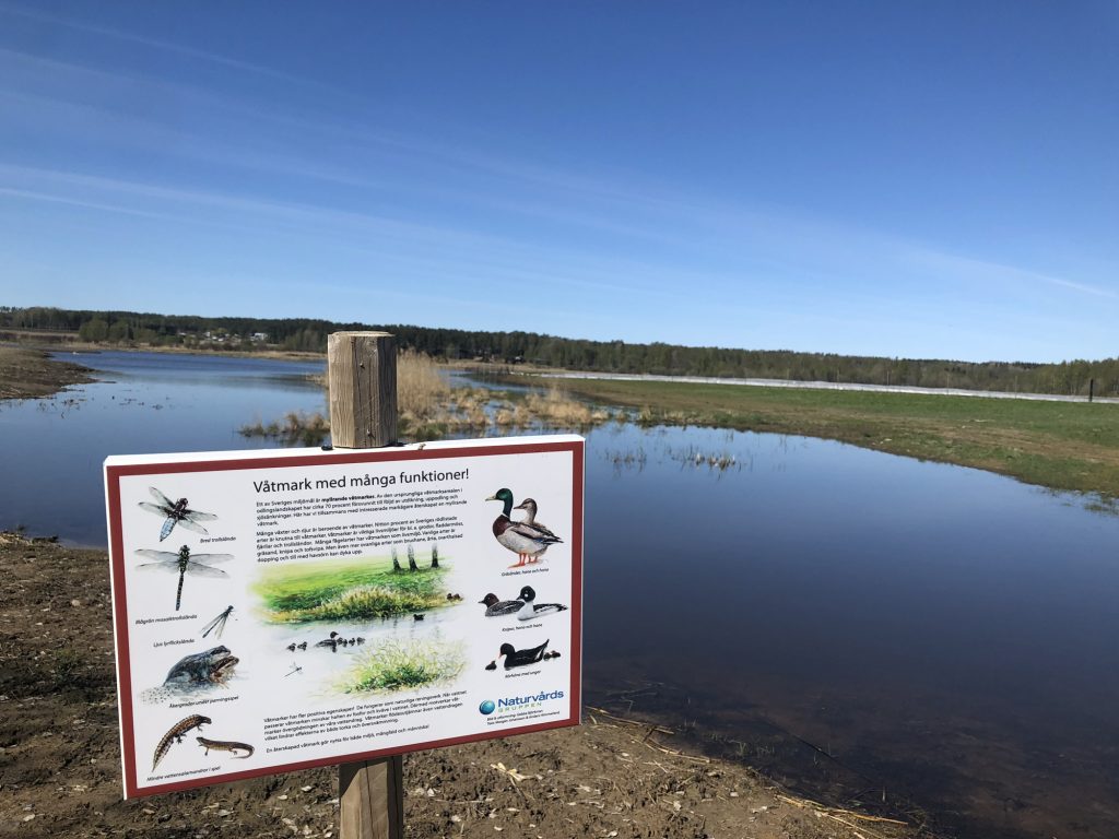 Södra Hyn bird lake, Värmland, Sweden