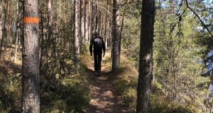 Hiking trail, Värmland, Sweden
