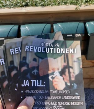 NRM leafleting in Munkedal, Sweden