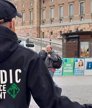 Nordic Resistance Movement "Throw Out the Traitors" action, Stockholm