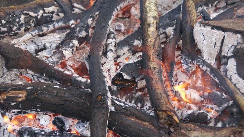 Logs in a campfire